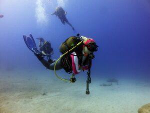 CMAS Dalış Eğitimi Fiyatları Nedir