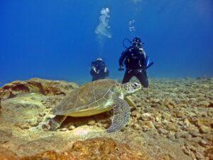 CMAS Sertifikası Nasıl Alınır