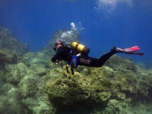Fethiye PADI Tüplü Dalış Eğitimi Ücretleri